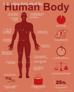 Safe your body