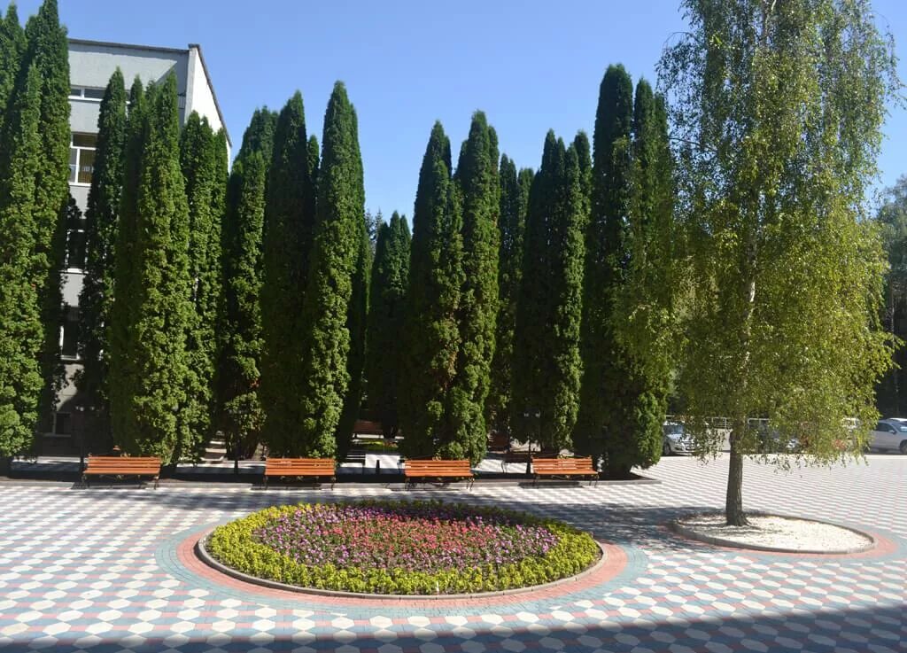 Родник Кисловодск. Санаторий Родник Кисловодск. Пансионат Родник Кисловодск. «Родник» санаторий 3*, Кисловодск. Клиника кмв