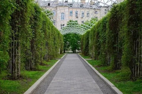 Сады москвы магазины адреса