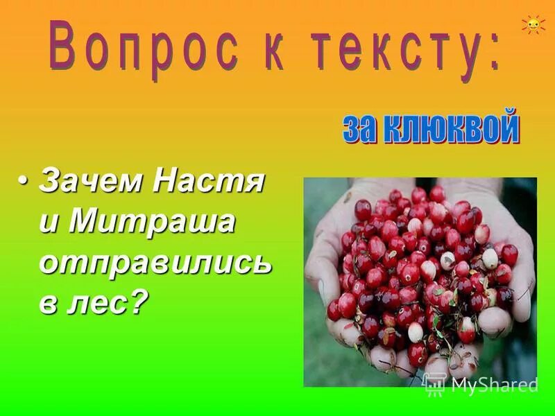 Сколько лет было настеньке