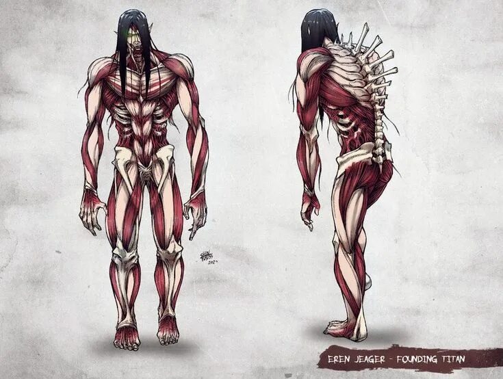Как выглядит самый огромный титан в мире Attack on Titan All Titans Height Comparison 2021 AOT Characters YouTube