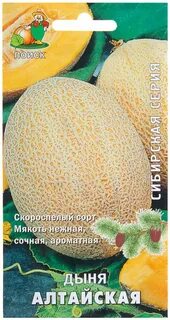 Дыня алтайская описание сорта