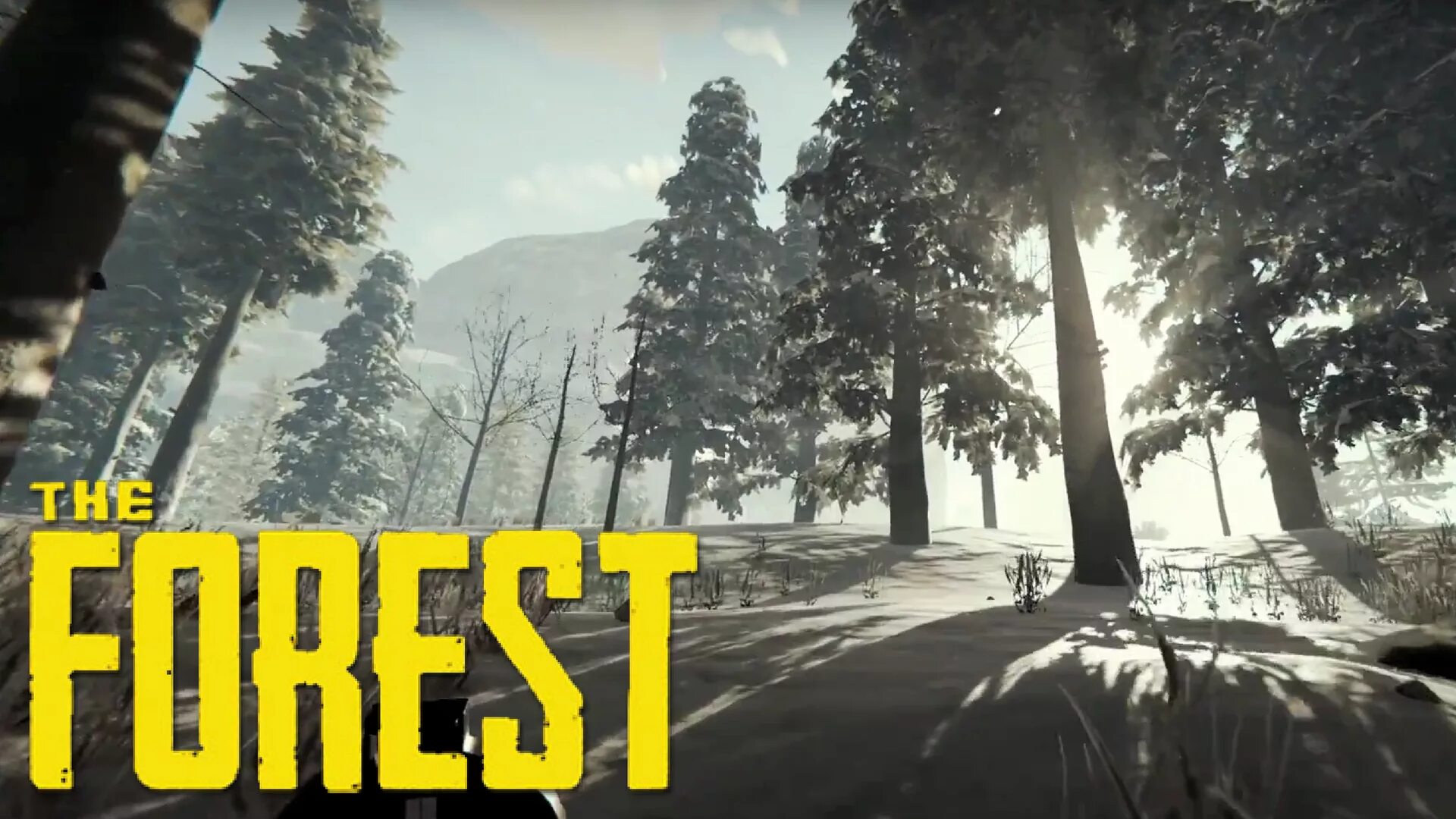 The forest дата. Forest игра. the forest обложка. лес в играх. the forest обложка игры.