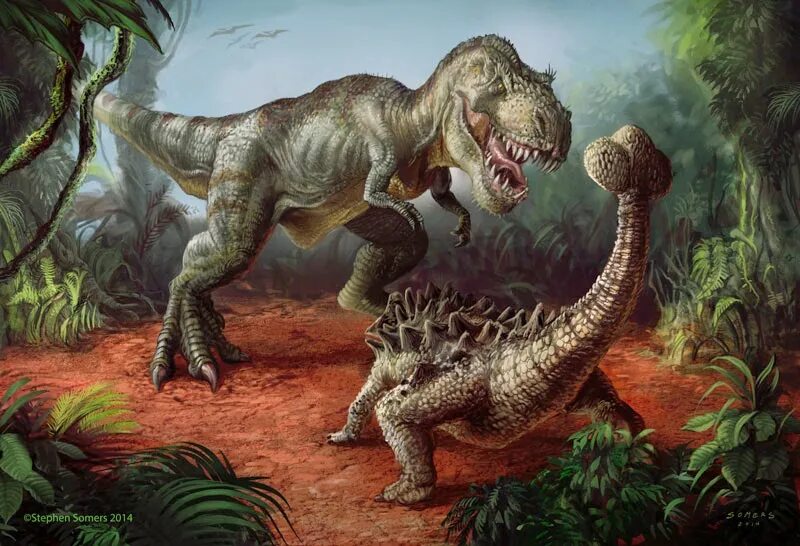 Тирекс спинозавр. Анкилозавр и Тираннозавр. Тираннозавр против Анкилозавра. Анкилозавр рекс. Анкилозавр Спинозавр.