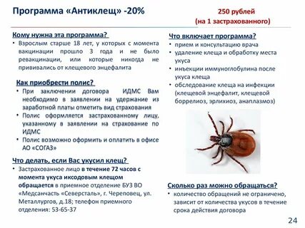 Согаз антиклещ страховка