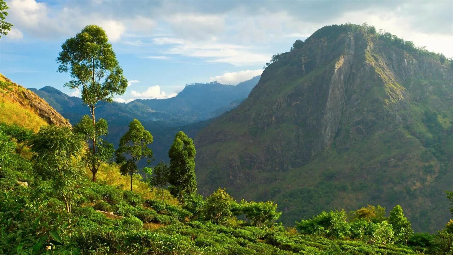 Республика шри. Гора на острове Цейлон.