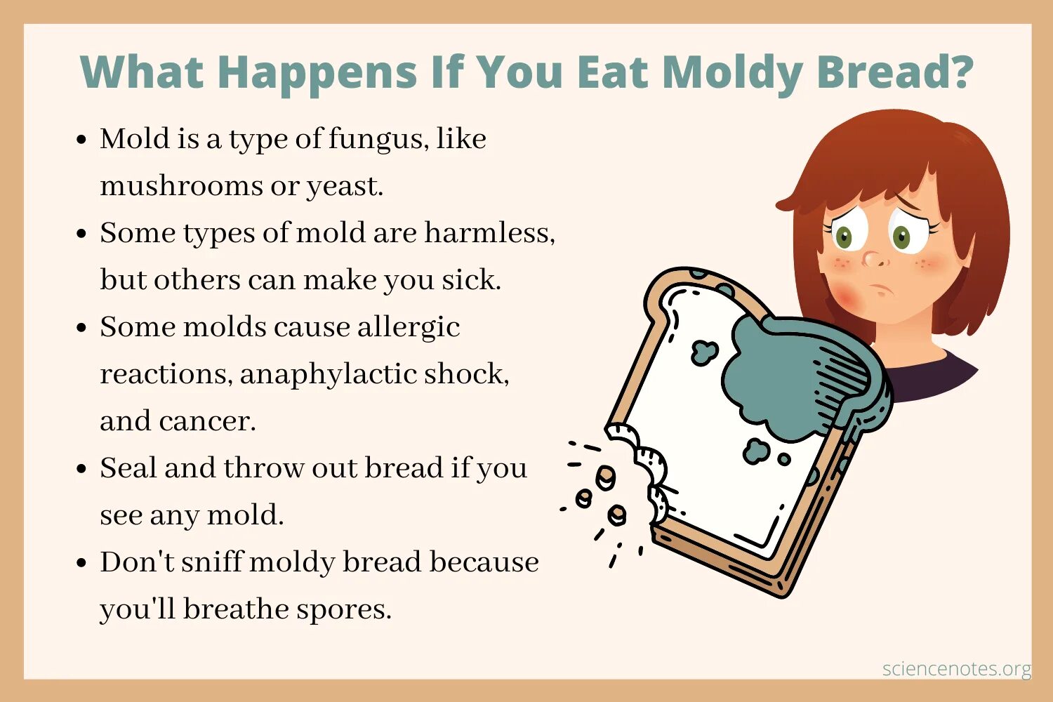 We ve got bread. Mmoldy. Moldy РАОONE. Moldy meaning. Types of Mold.