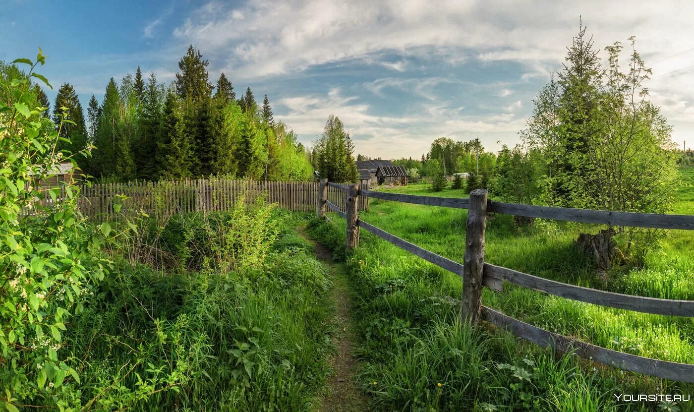 Деревня мира. Природа деревня. Красивые деревенские пейзажи. Деревенька моя. Деревня равна.