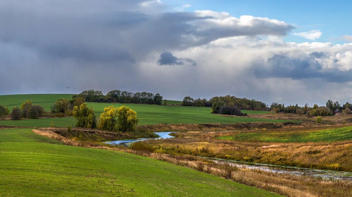 Кэрсивин ирландия лес. Овраг «бокалда» богородский район кировская область. Река юшатырь. Крутой обрывистый берег реки озера склон оврага. Высокий берег овраг река карадарья.