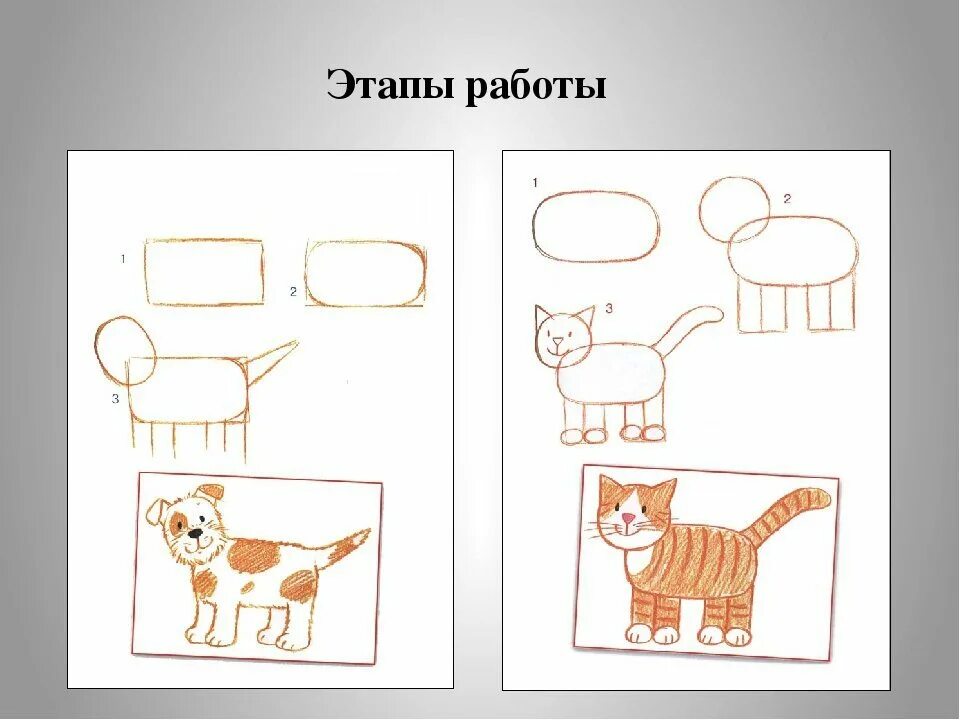 Рисование домашних животных. Рисование в старшей группе. Рисование домашних животных в старшей группе. Схема рисования собаки в подготовительной группе. Изобразить характер животного