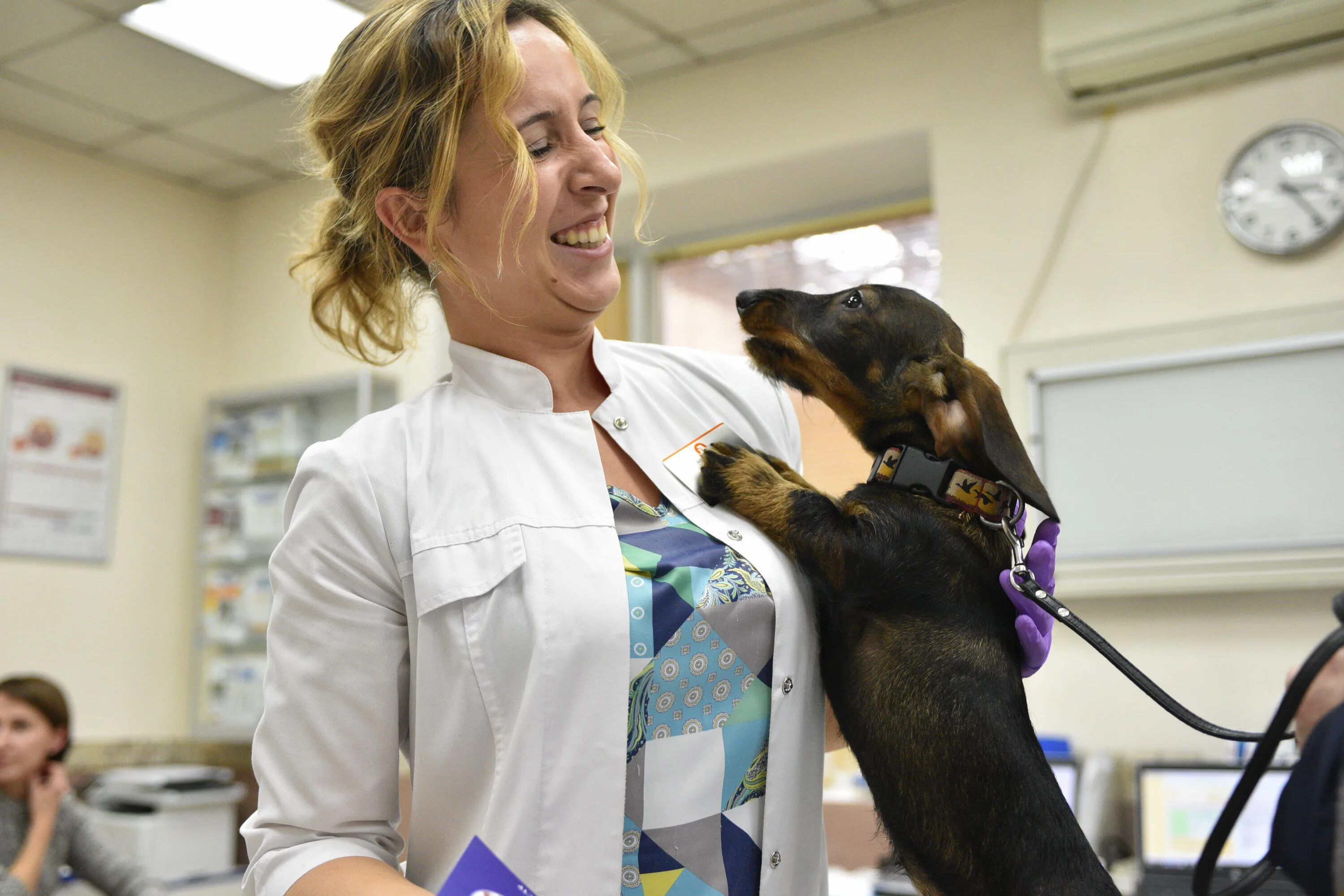 ветпомощь на дому. гагарин ветеринарная клиника государственная. ветеринар гастроэнтеролог. ветеринарная клиника. добрый доктор ярославль ветклиника.