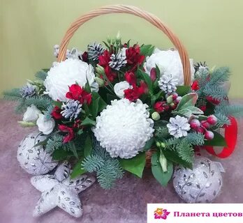 Цветы орехово зуево