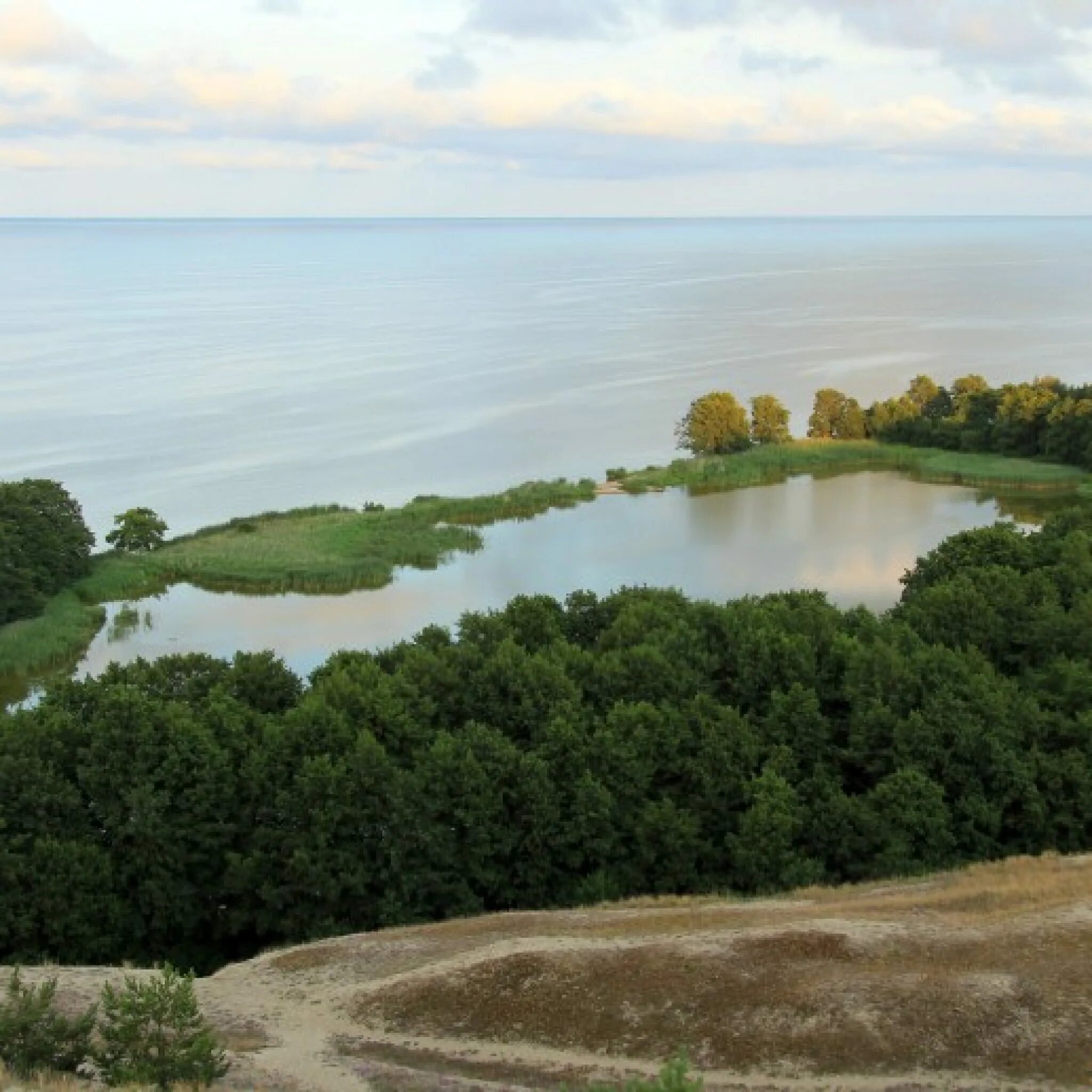Озеро Лебедь - Европа, Россия, Калининградская область