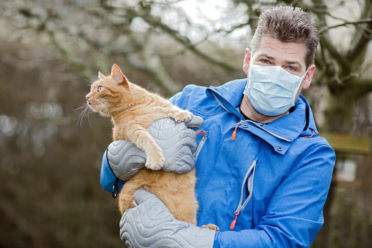 Аллергия на кошек. Аллергия на домашних животных.