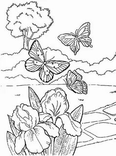 Coloring and cutting