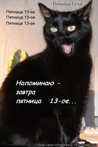 Пятница 13 цитаты. Пятница 13 картинки. завтра пятница 13. скоро пятница 13.