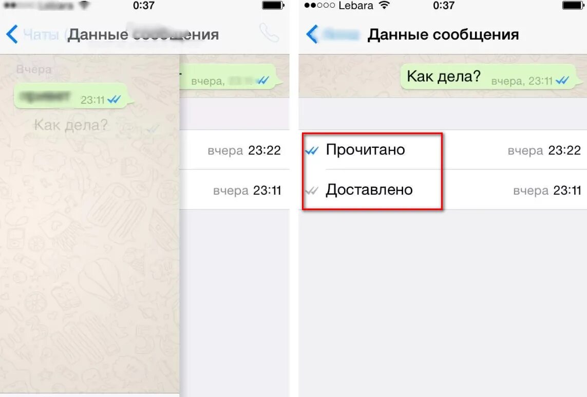 Читать сообщения ватсап. Прочитанные сообщения в whatsapp. сообщение прочитано. прочитанное сообщение в ватсапе. сообщение ватсап.