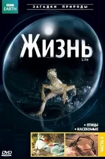 Bbc жизнь
