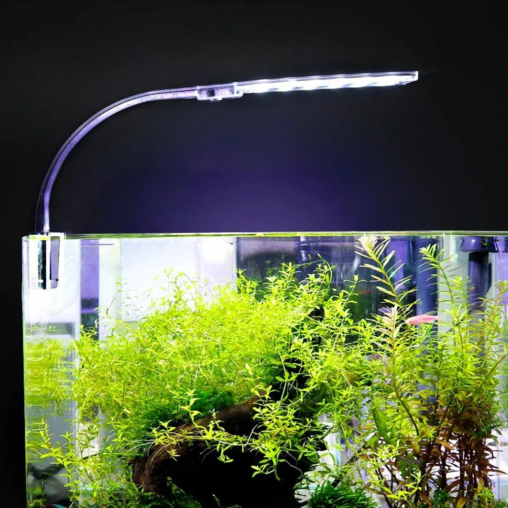 Аквариум led освещение. Светильник для аквариума chihiros s518. аквариумный светильник hy-8821. лампа для аквариума 6w/260mm. led лампа для аквариума 24 вт.