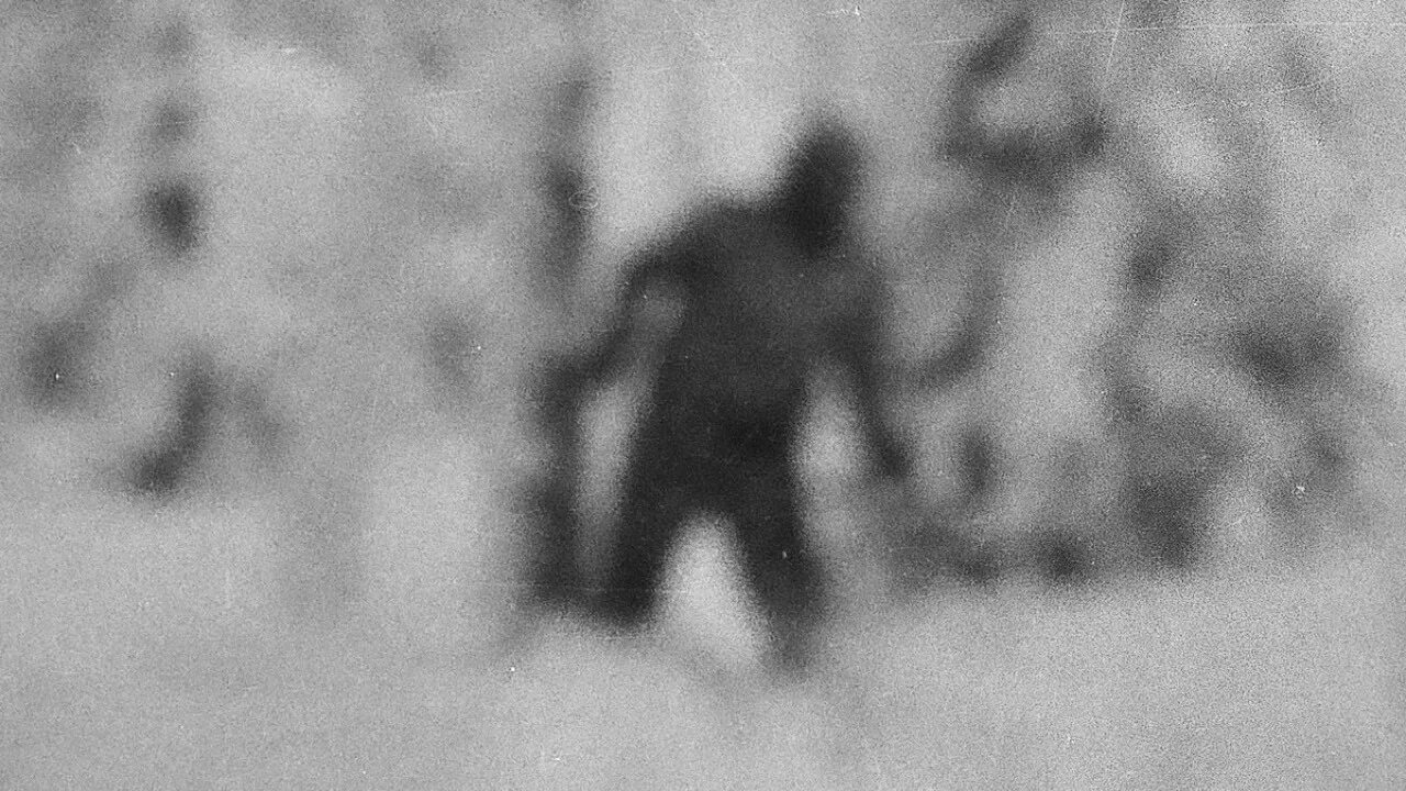 Гибель группы дятлова йети. Настоящая группа дятлова. Дятлов снежный человек. Снимок группы дятлова с йети. Дятлов снежный человек.