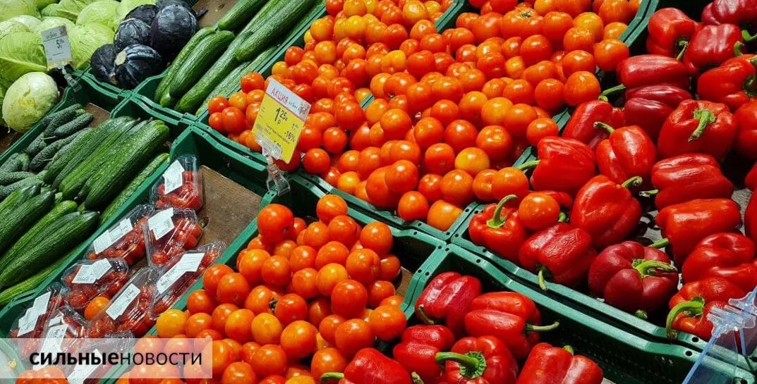 Купить овощи беларусь. Овощи на белорусском. Цены на овощи. Белорусские марки с овощами. Рост цен на помидоры и огурцы.