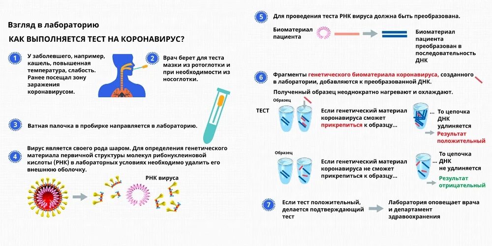 Инфографика по короновирусу. Инфографика коронавируса. Тест на коронавирус инфографика. Симптомы коронавируса инфографика