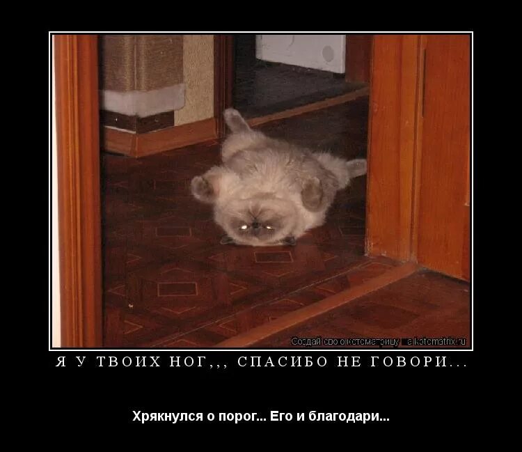 все у твоих ног пока работает