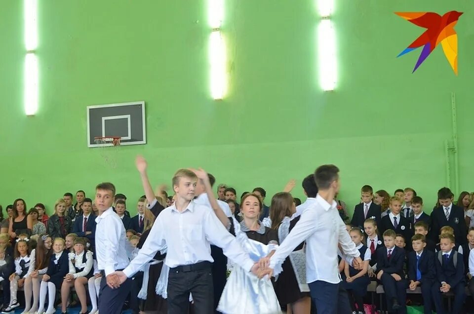 Семейные соревнования. Школа 36 г курск. Директор школы 16 курск. Школа 7 курск. Школа 35 курск.