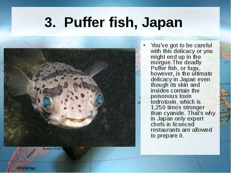 Pufferfish перевод. Puffer перевод. Fish перевод. Map Puffer рыба. I fish перевод