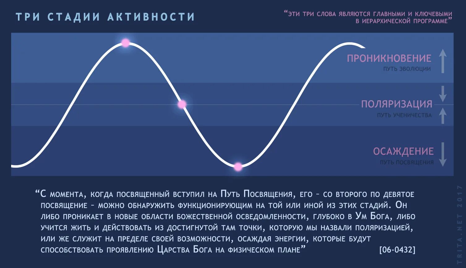 Пик активности женщины. Фазы активности. Пик половой активности. График половой активности. 3 Стадии активности.