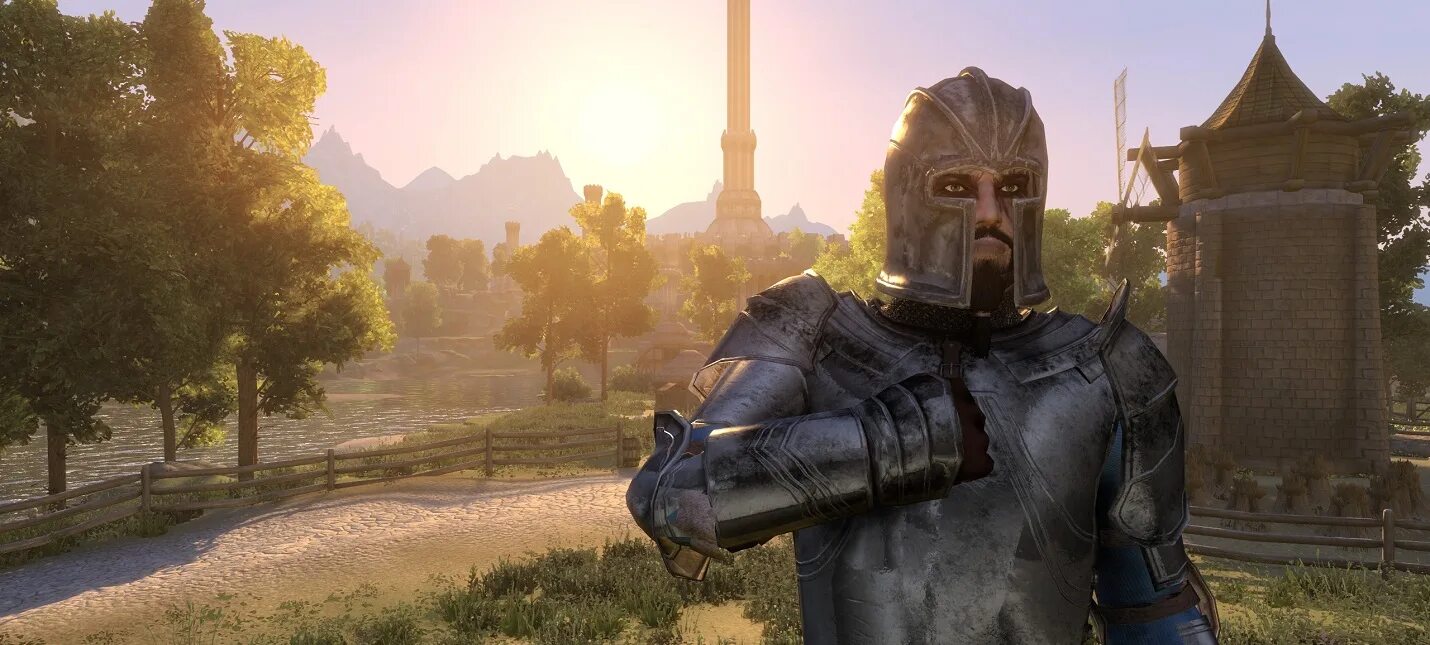Developer mod