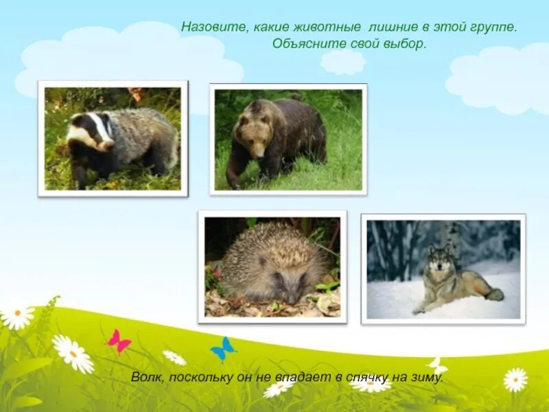 Объясни каких животных