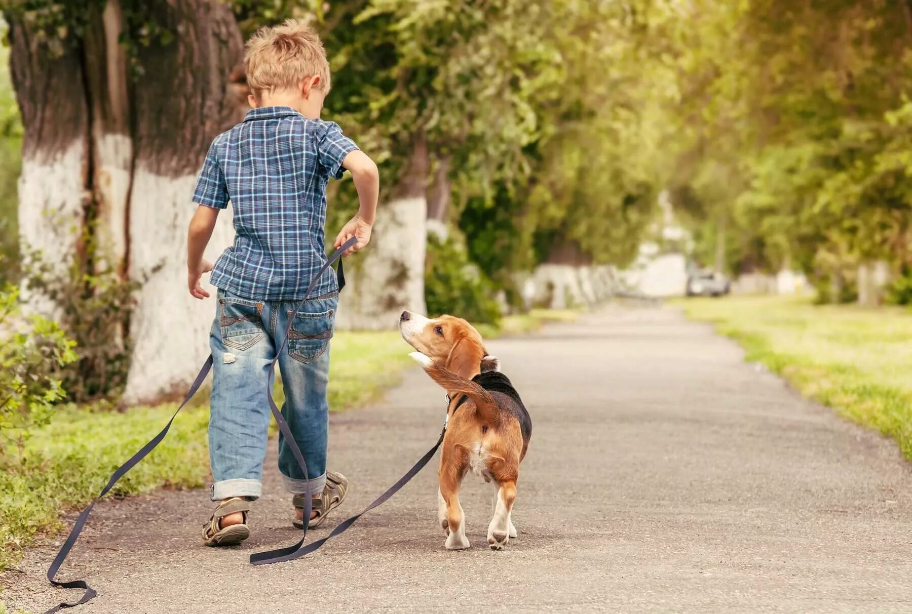 Are you going for a walk