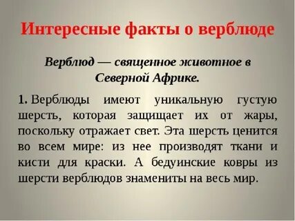 Интересные факты о верблюдах