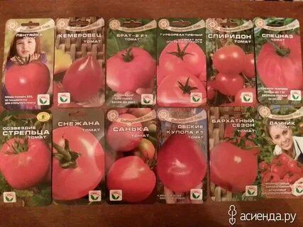 Обские купола
