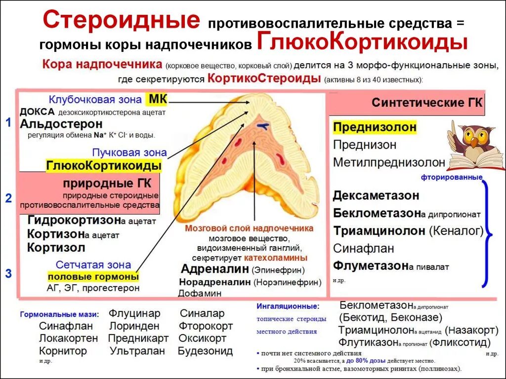 Глюкокортикоиды перечень гормонов надпочечников. Стероидные гормоны препараты. Глюкокортикоиды стероиды препараты. Стероиды противовоспалительные средства.