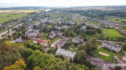 Борки