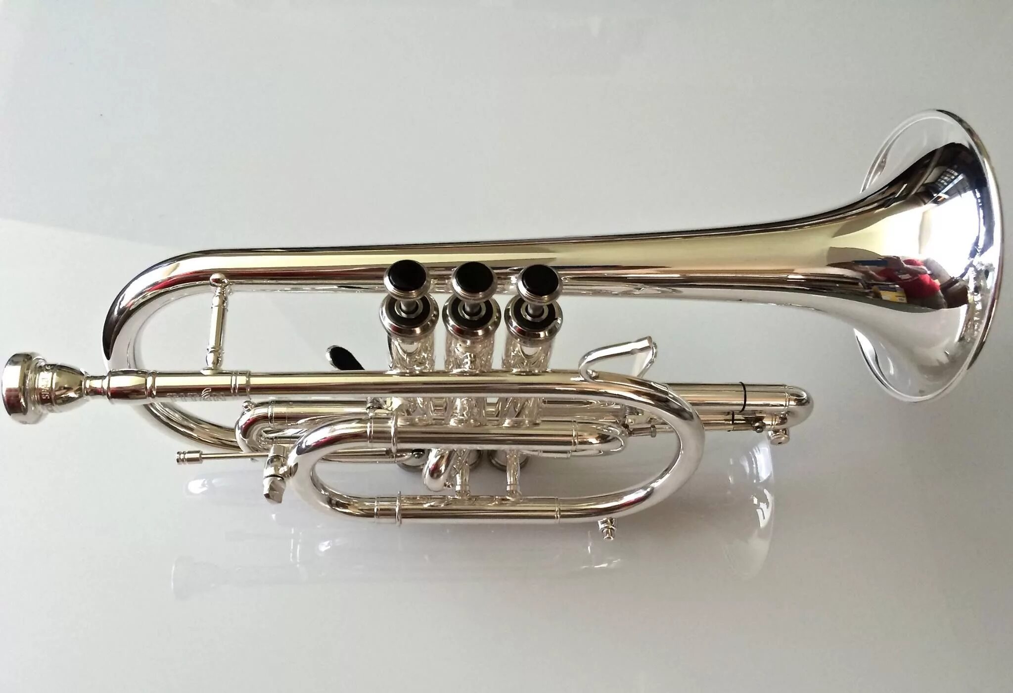 Горн инструмент. Stomvi trumpet. stomvi titan tb5120. горн музыкальный инструмент. горна музыкальный инструмент.