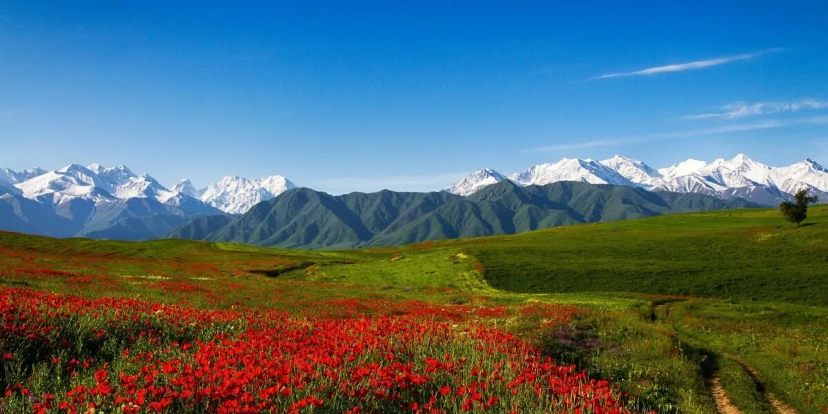 Кыргызстан данных
