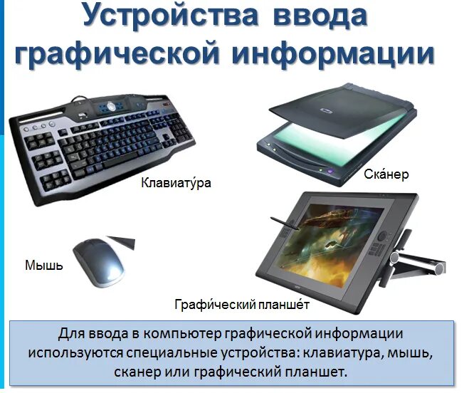 Что является вводом информации. Устройства ввода графической информации. Устройство ввода клавиатура мышь графический планшет. Устройство ввода графический планшет. Сканер для ввода информации.