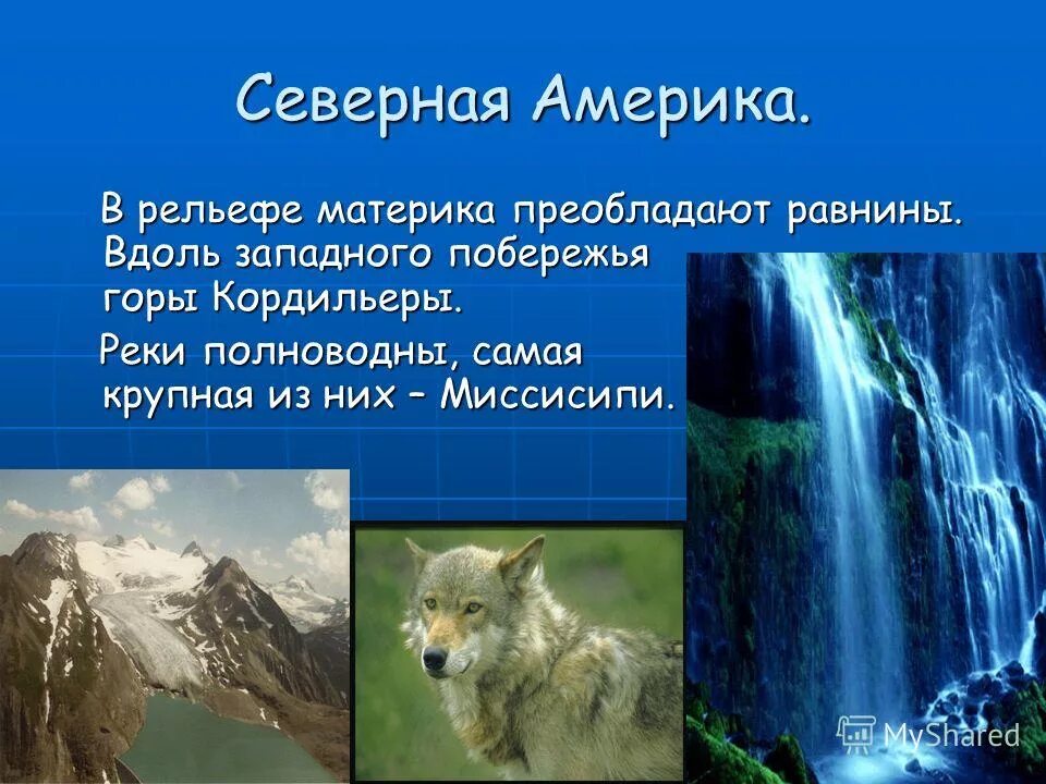 Доклад про северную америку. Северная Америка доклад. Проект на тему Северная Америка. Доклад по Северной Америке. Северная Америка презентация.