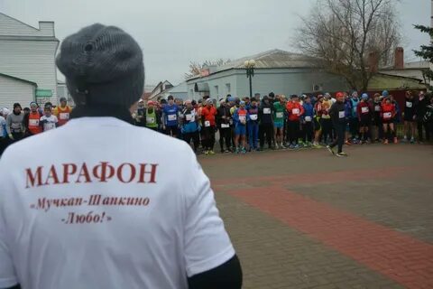 Погода в мучкапе на неделю