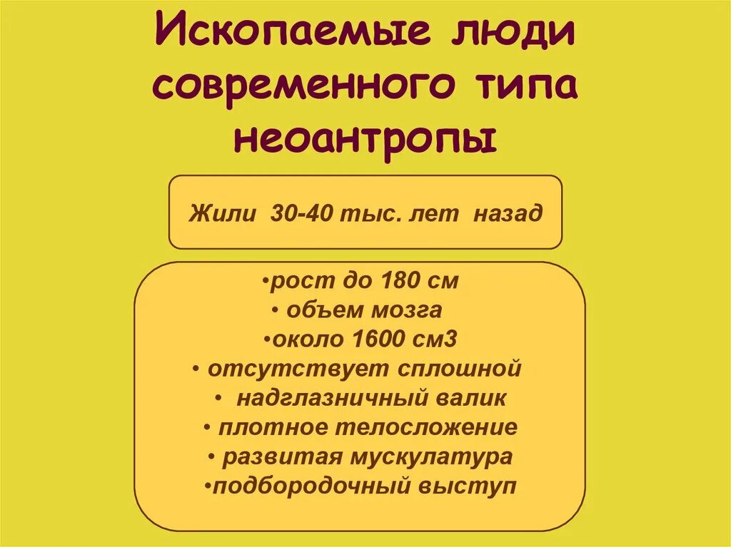 Социальные черты неоантропов. Ископаемые люди современного типа. Люди современного типа Неоантропы. Человек современного типа, ископаемый и современный (Неоантропы).