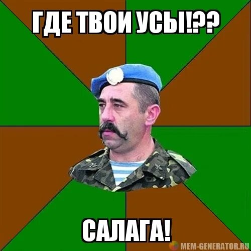 Дай подик
