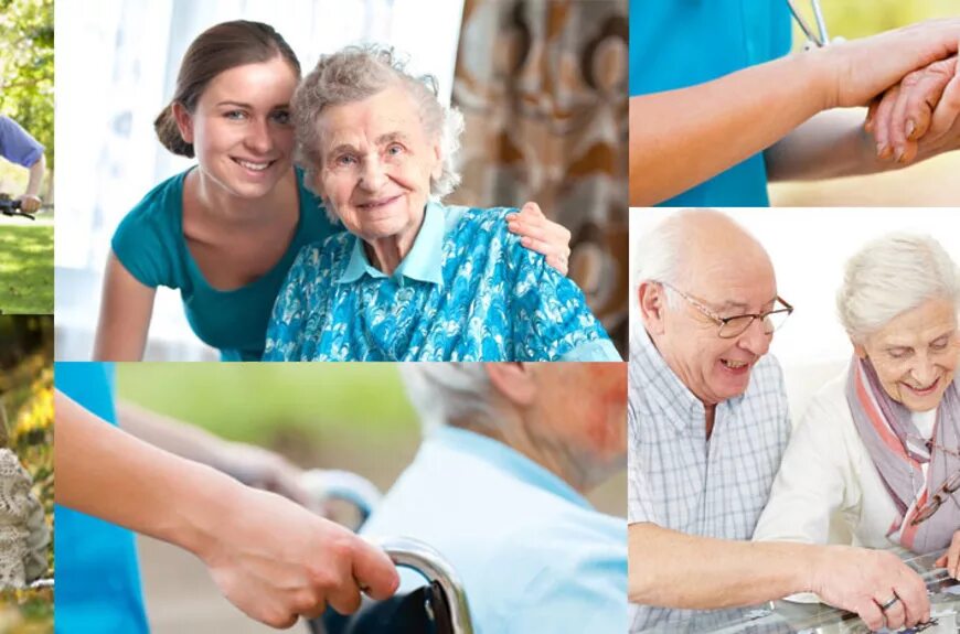 Государственная поддержка пожилых людей. Социальная поддержка пожилых людей. Социальная реабилитация пожилых. Пожилая семья. Пожилые люди и инвалиды.