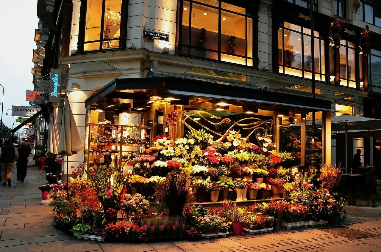 Красивый магазин цветов. Цветочный магазин в Европе. Самые красивые цветочные магазины. Цветочные магазины в Голландии. В цветочном магазине были составлены