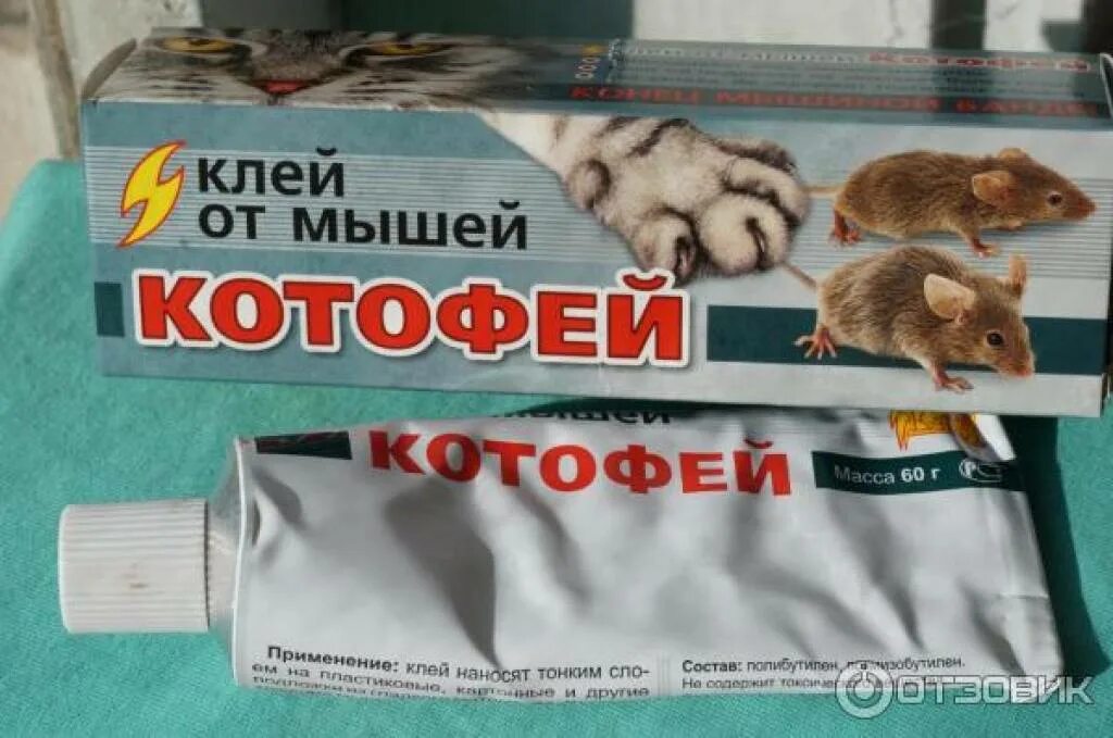 Как убрать мышиный клей. Клей для поимки мышей. клей котофей от мышей. клей для ловли животных. лучший клей от мышей.