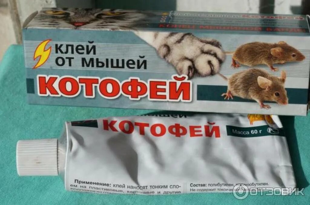 Чем отмыть клей для мышей. Клей для мышей. Клей для мышей и крыс. Котофей клей от мышей. Клей для поимки мышей.