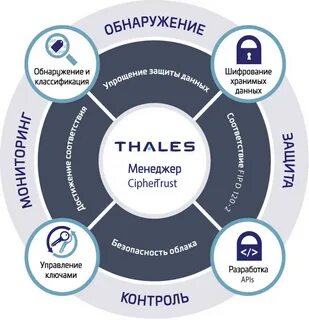 Курс групп приложение