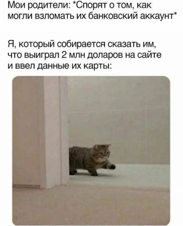 Кот идет мем. Котик пришел. кот ходит мем. мемы кот идёт. припремся коты мемы.